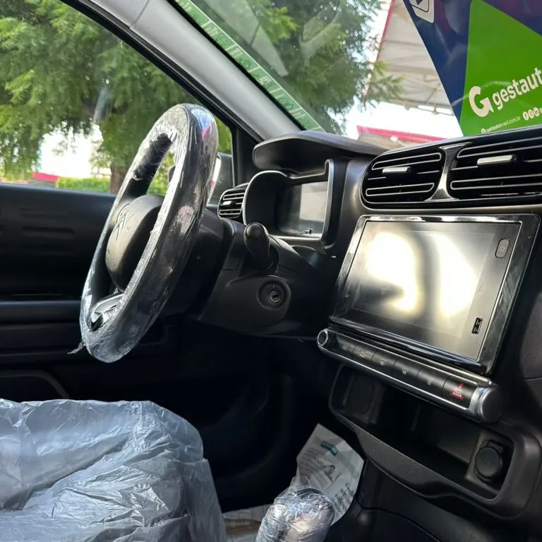 Citroën C4 CACTUS FEEL Pack 1.6 16V Flex Aut. 2022 - Idroovecar