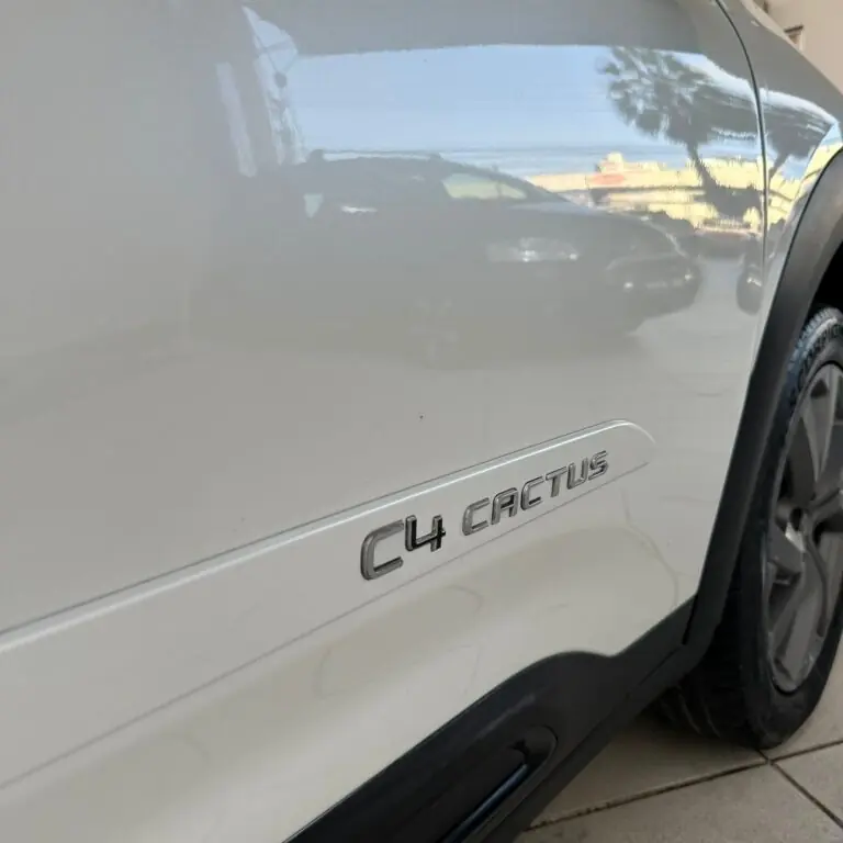 Citroën C4 CACTUS FEEL Pack 1.6 16V Flex Aut. 2022 - Idroovecar