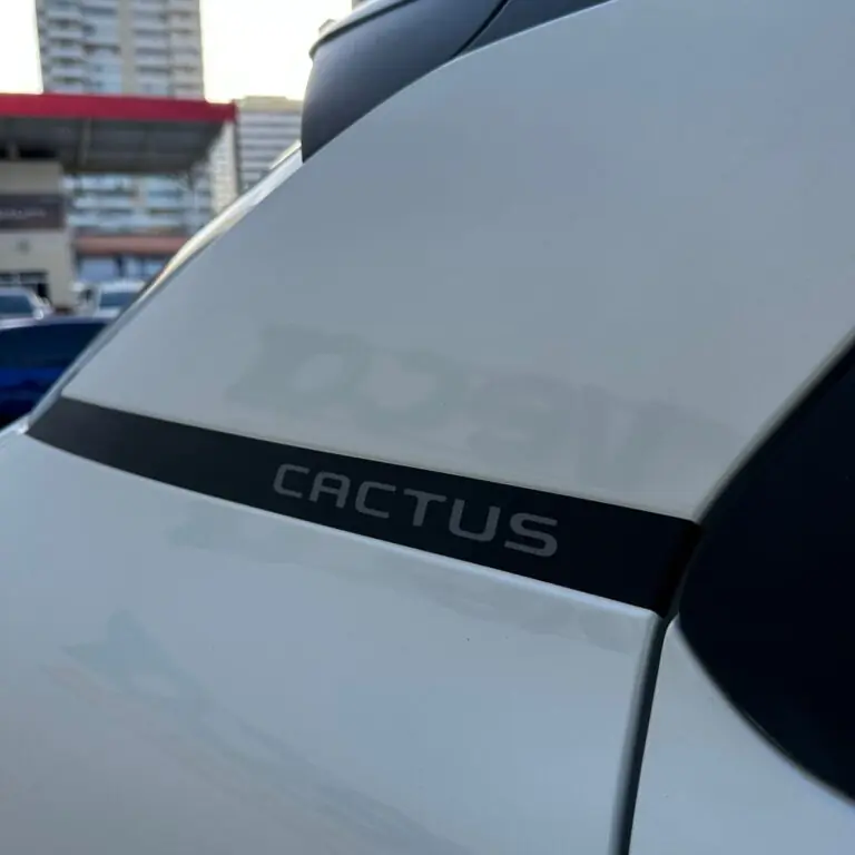 Citroën C4 CACTUS FEEL Pack 1.6 16V Flex Aut. 2022 - Idroovecar
