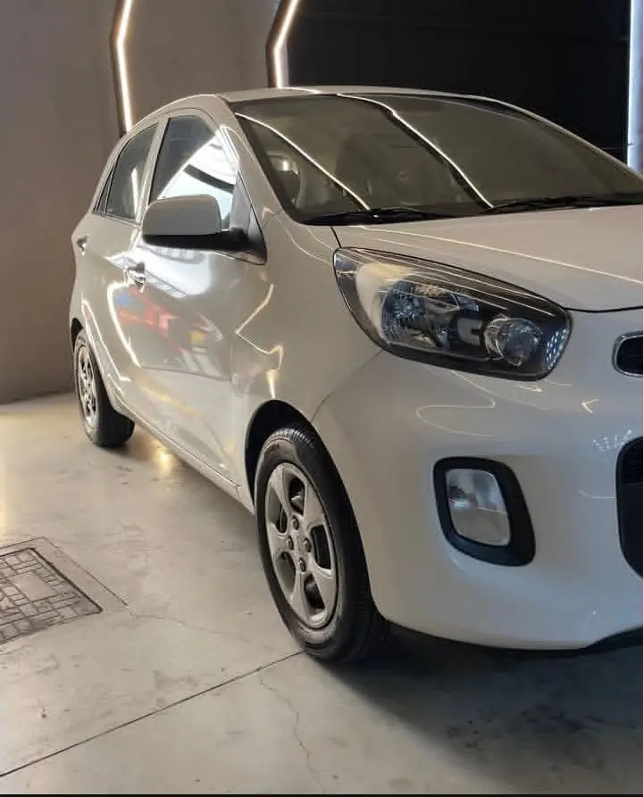 Kia Motors Picanto EX 1.1/1.0/ 1.0 Flex Mec. 2016 - Idroovecar