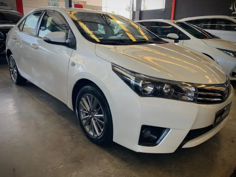 WhatsApp Image 2025-10-31 at 17.41.01